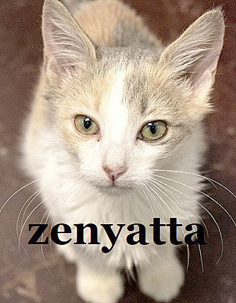 Zenyatta